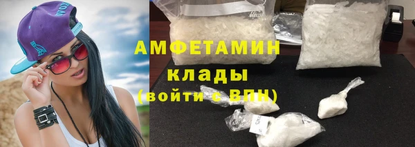 индика Саяногорск