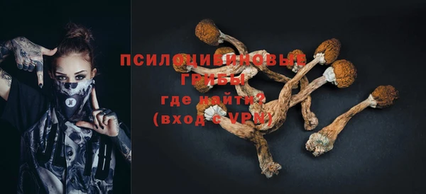 ПСИЛОЦИБИНОВЫЕ ГРИБЫ Белоозёрский