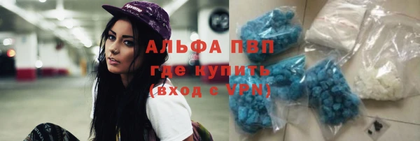 ПСИЛОЦИБИНОВЫЕ ГРИБЫ Белоозёрский