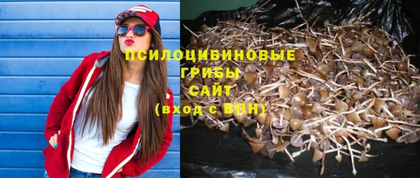 не бодяженный Белокуриха