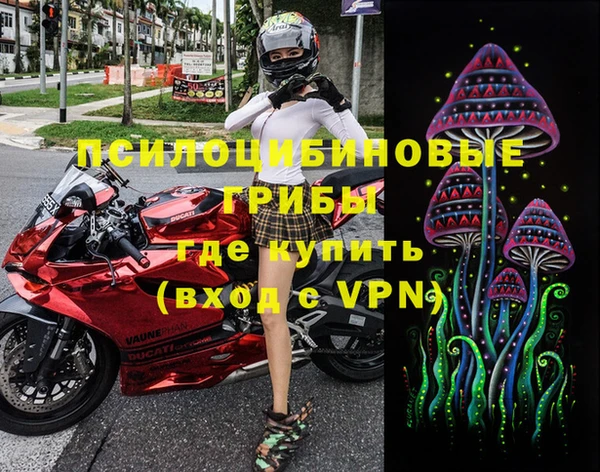 ПСИЛОЦИБИНОВЫЕ ГРИБЫ Белоозёрский