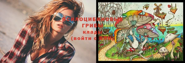 прущие грибы Беломорск