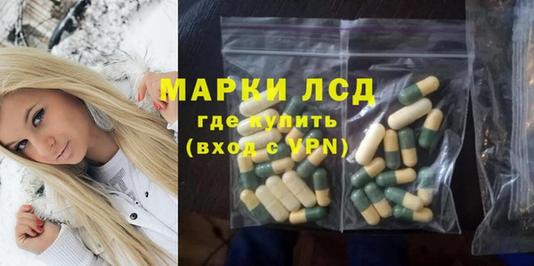 прущие грибы Беломорск