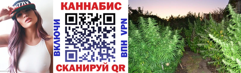 Бошки марихуана планчик  купить наркоту  Нижняя Тура 